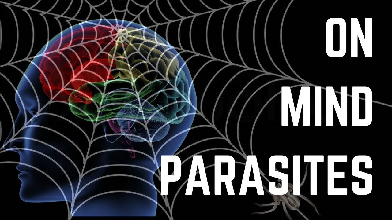 Predator Mind, Catholic Magic, Universal Language and Witch Burning