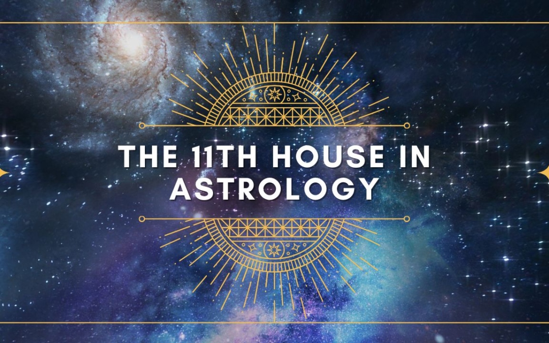 The Eleventh House of Astrology: Friends, Common Goals and Ambitions