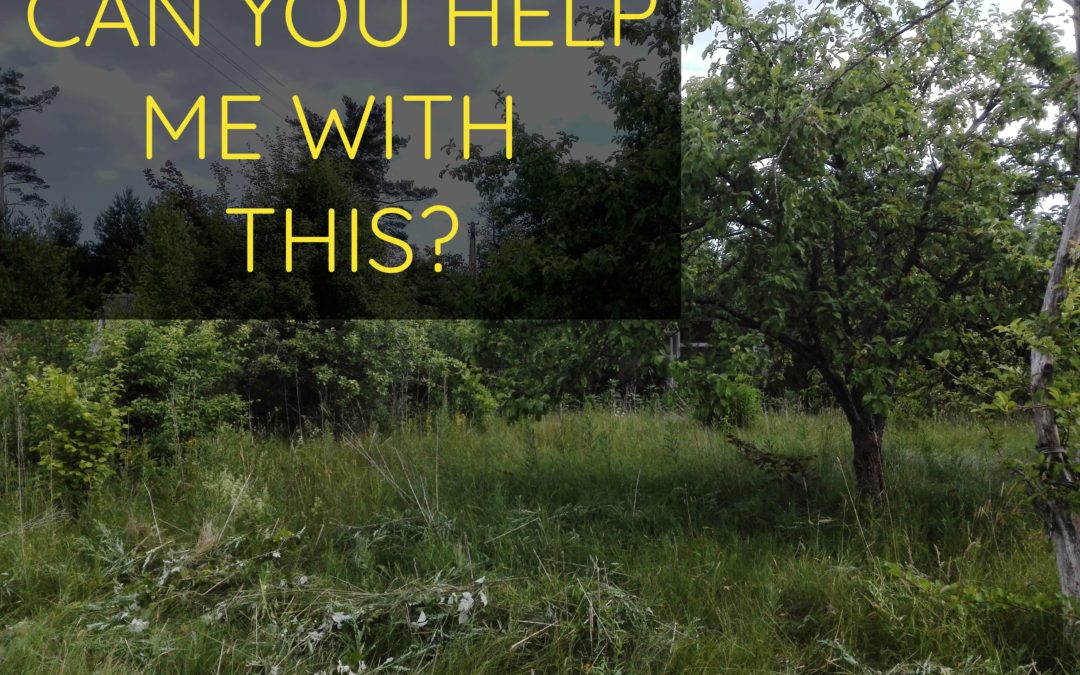 Self-Sustaining Mindfulness Center