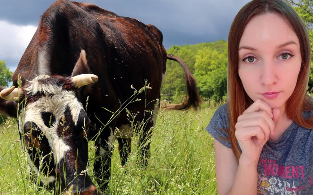 My Diet, Veganism and the Ethics of Animal Killing
