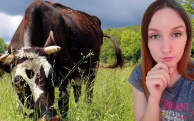Mon régime alimentaire, le véganisme et l'éthique de l'abattage d'animaux