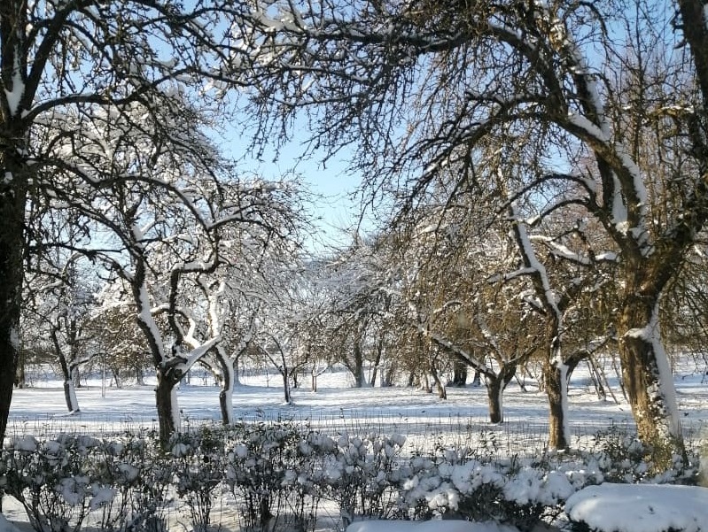 What I’m Up to in the Farm During Winter