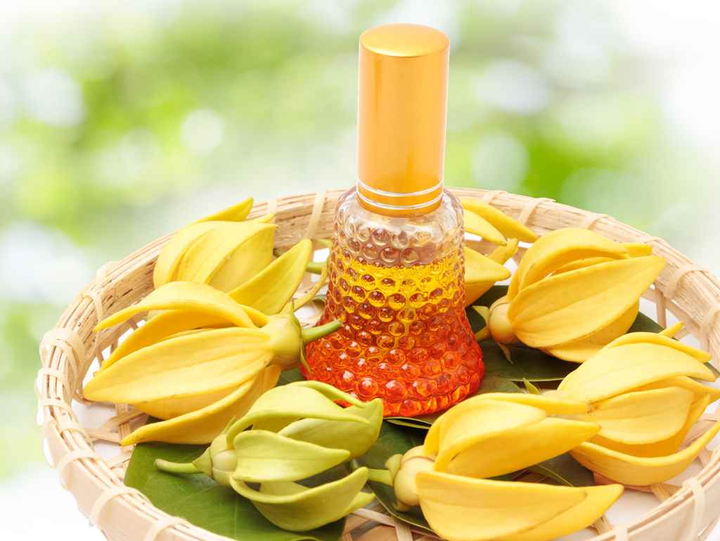 Sacral chakra meaning - balancing oils