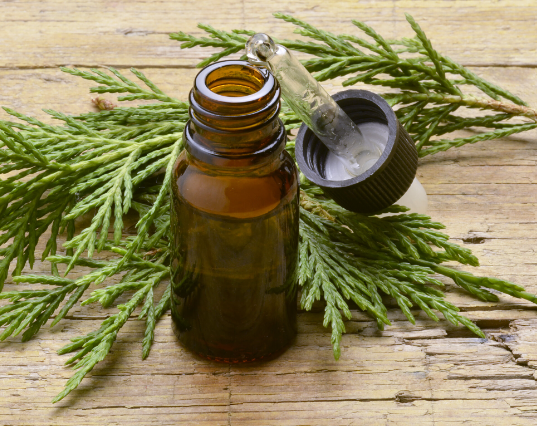 Cypress essential oil - the meaning of the heart chakra article