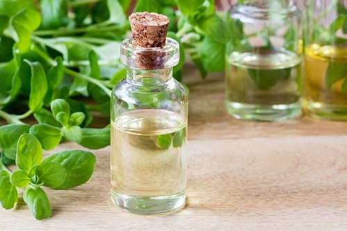 Marjoram essential oil - the third eye chakra meaning