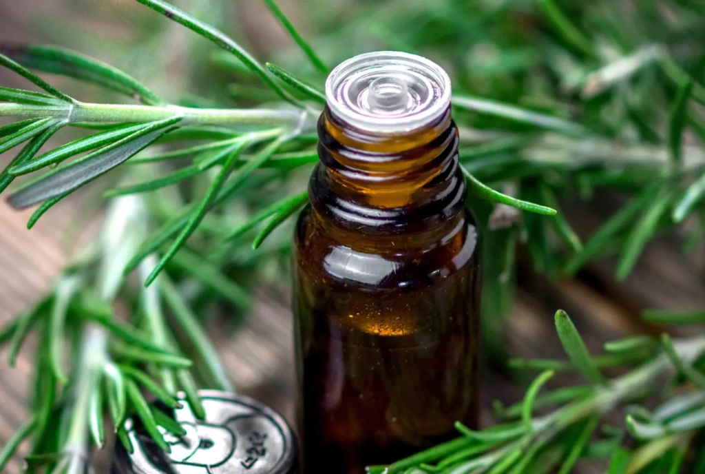 Rosemary essential oil - the throat chakra meaning post